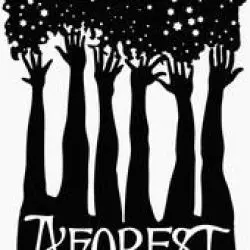 A Forest Of Stars