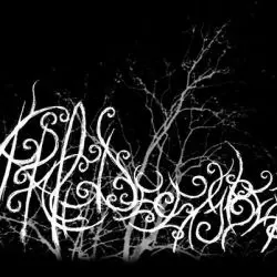 A Pale December