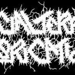 Asocial Terror Fabrication