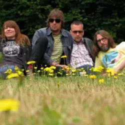 Assemble Head In Sunburst Sound