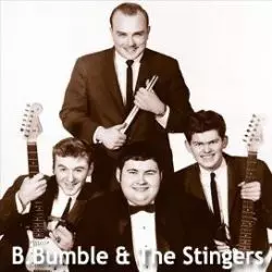 B. Bumble & The Stingers