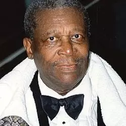 B.b. King & The Guitar Legends