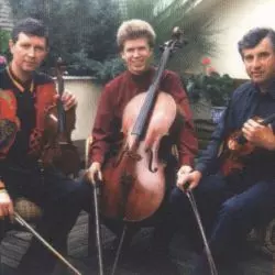 Beethoven String Trio