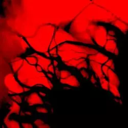 Benighted In Sodom