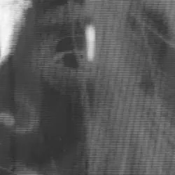 bergsonist