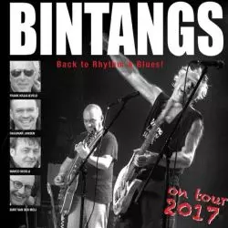 Bintangs