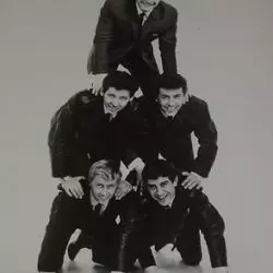 Brian Poole & The Tremeloes