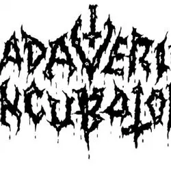 Cadaveric Incubator
