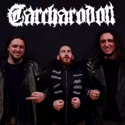 Carcharodon