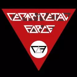 Centripetal Force