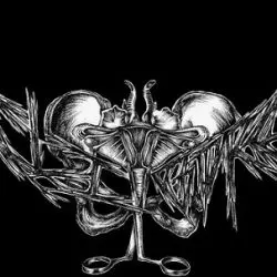 Clitgore