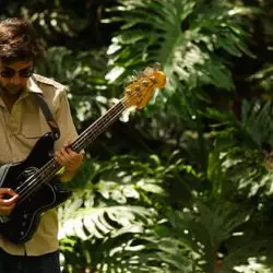 Cosmic Analog Ensemble