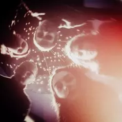 Cosmic Letdown