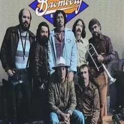 David Bromberg Band