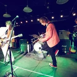 Deer Tick