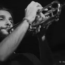 Dino Rubino