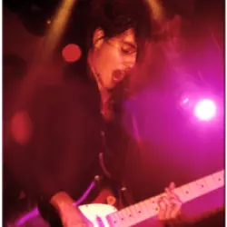 Elastica