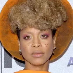 Erykah Badu