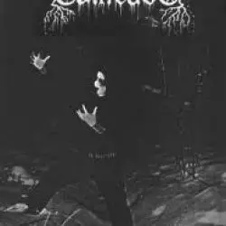 Evilfeast