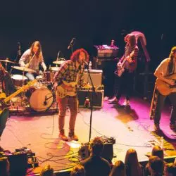 Futurebirds