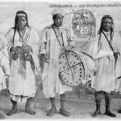Gnawa