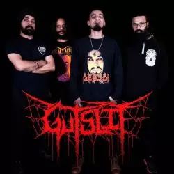 Gutslit