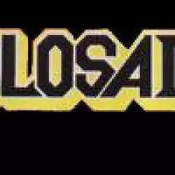 Holosade
