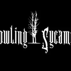 Howling Sycamore