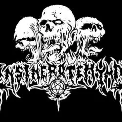 Insineratehymn