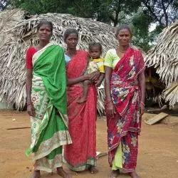 Irula