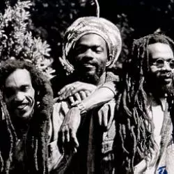 Israel Vibration
