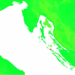 Ist