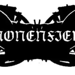 Kanonenfieber