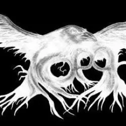 Korp
