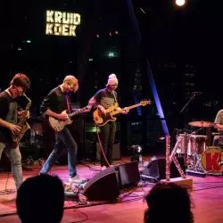 Kruidkoek