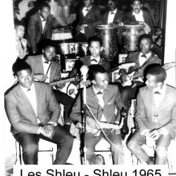 Les Shleu-Shleu