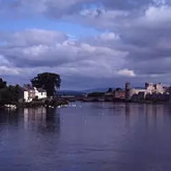 Limerick