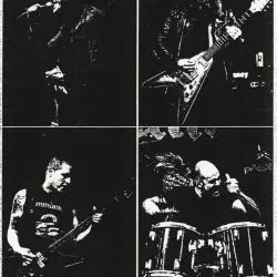 Malleus