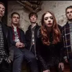 Marmozets