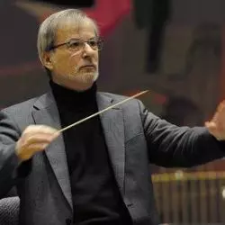 Matthias Brauer