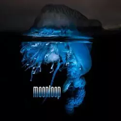 Moonloop