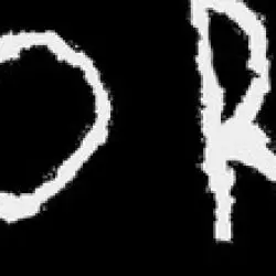 Morus