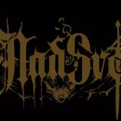 Nadsvest