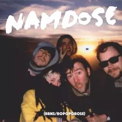 Namdose