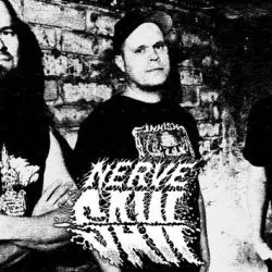 Nerve Saw