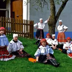 Netáta