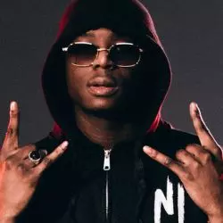 Ninho