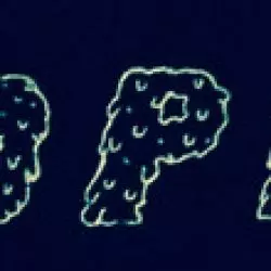 Nopes