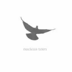 Nucleus Torn