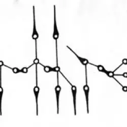 Orthrelm